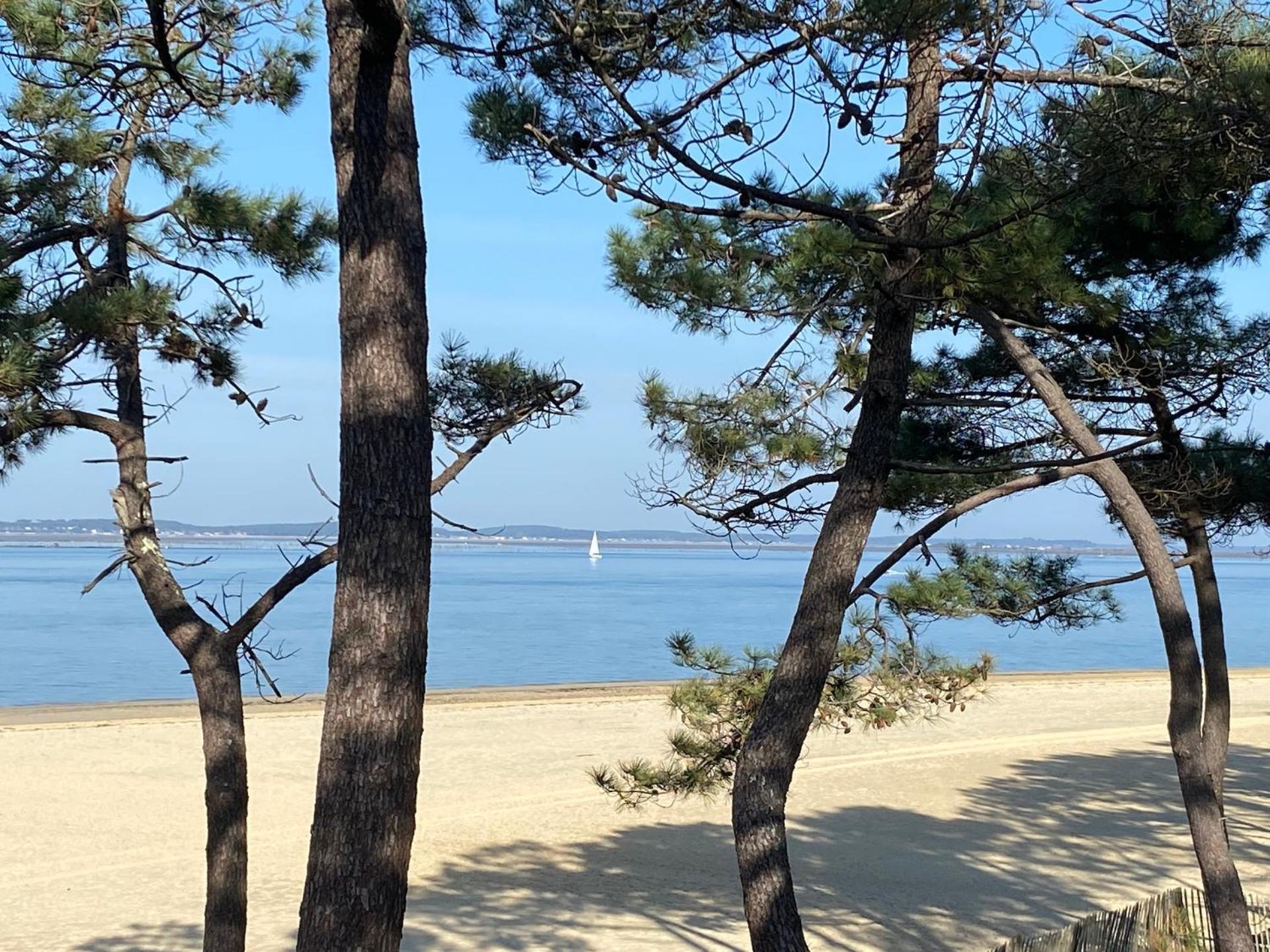 Gasthuis Charme & Confort- Les Du Bassin D'arcachon- Petit-dejeuner Sur Demande - Nuitee, Court Sejour, Semaine